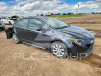 2020 Toyota COROLLA фото