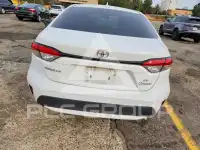 2020 Toyota COROLLA фото