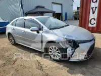 2020 Toyota COROLLA photo