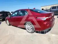 2020 Toyota CAMRY фото