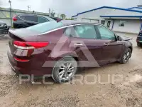 2020 KIA Optima фото