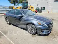 2020 KIA Optima фото