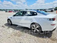 2020 KIA Optima фото