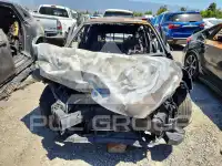 2020 KIA Rio photo