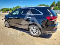 2020 KIA Sorento photo