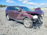 2020 KIA Sorento фото