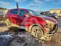 2020 KIA Sportage фото