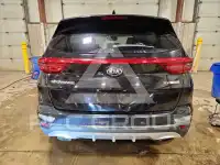 2020 KIA Sportage фото