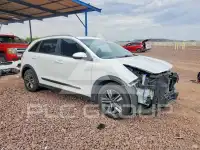 2020 KIA Niro photo