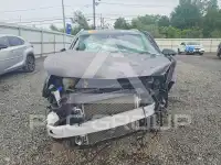 2020 KIA Niro photo