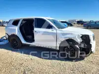 2020 KIA Telluride photo