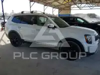 2020 KIA Telluride фото