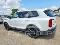 2020 KIA Telluride photo