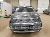 2020 KIA Telluride photo