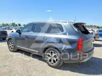 2020 KIA Telluride photo