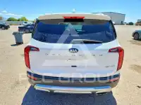 2020 KIA Telluride фото
