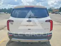 2020 KIA Telluride фото