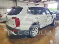 2020 KIA Telluride photo