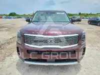 2020 KIA Telluride photo