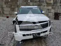 2020 KIA Telluride photo