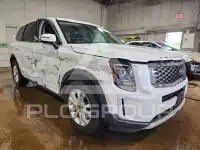2020 KIA Telluride photo