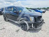 2020 KIA Telluride photo