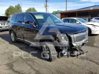 2020 KIA Telluride photo