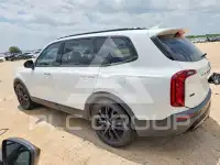 2020 KIA Telluride photo