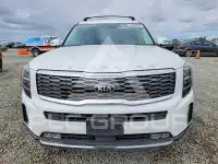 2020 KIA Telluride фото