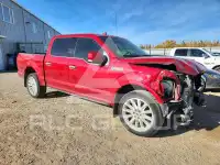 2020 Ford F-150 фото