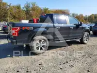 2020 Ford F-150 photo