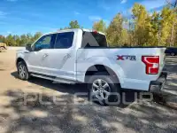 2020 Ford F-150 фото