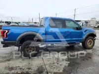 2020 Ford F-150 photo