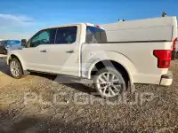 2020 Ford F-150 фото