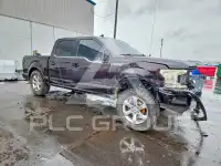 2020 Ford F-150 photo