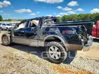 2020 Ford F-150 фото