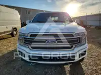 2020 Ford F-150 фото