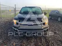 2020 Ford F-150 фото
