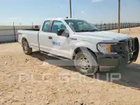 2020 Ford F-150 photo