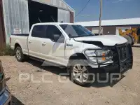 2020 Ford F-150 photo