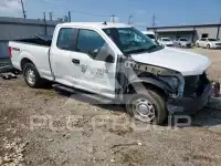 2020 Ford F-150 фото