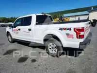2020 Ford F-150 фото