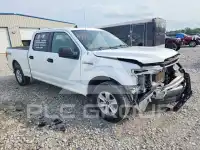 2020 Ford F-150 photo