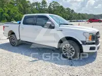 2020 Ford F-150 фото