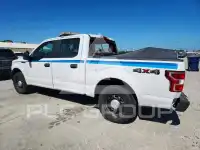 2020 Ford F-150 photo