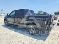 2020 Ford F-150 фото