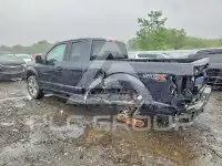 2020 Ford F-150 фото