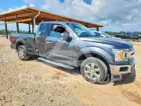 2020 Ford F-150 photo