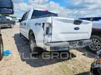 2020 Ford F-150 фото