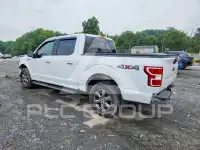 2020 Ford F-150 фото